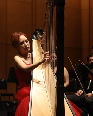 Phillip Stevens and Friends