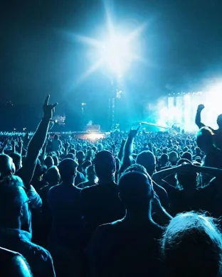 Live concert by Sublime - Band - 2 Day Pass