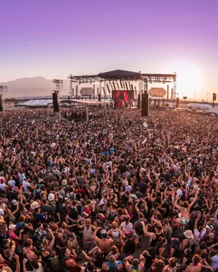 Live concert by The Elovaters