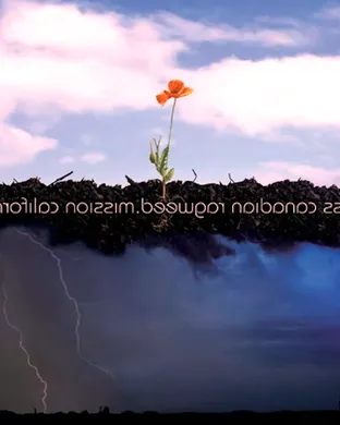 Cross Canadian Ragweed