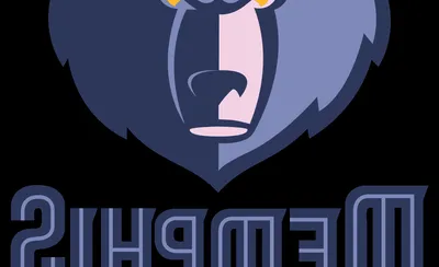 Memphis Grizzlies