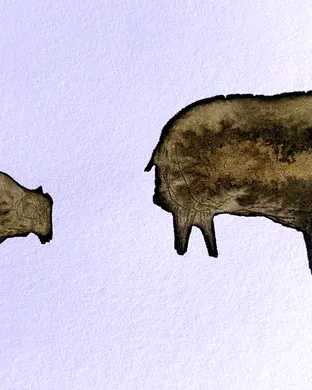 Passport To Culture: Excursions With Cleo II