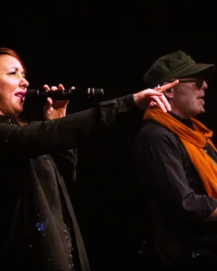 Thievery Corporation