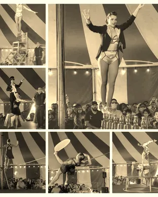 Venardos Circus Littleton